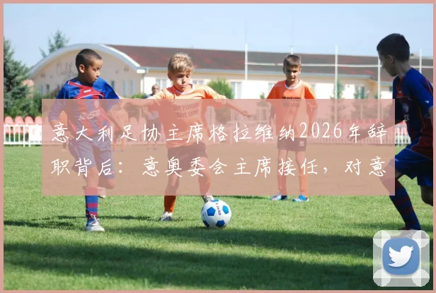 意大利足协主席格拉维纳2026年辞职背后：意奥委会主席接任，对意大利足球未来影响几何？